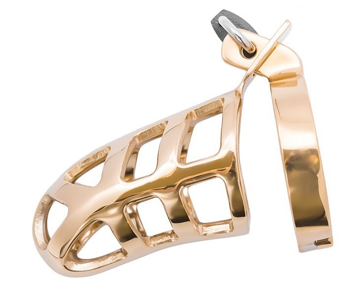 Brutal Stainless Steel Chastity Penis Cage - Gold