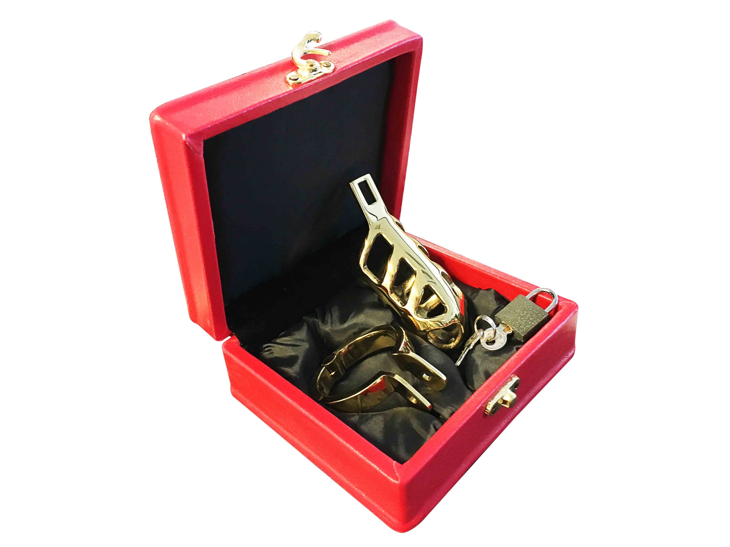 Brutal Stainless Steel Chastity Penis Cage - Gold - Image 2