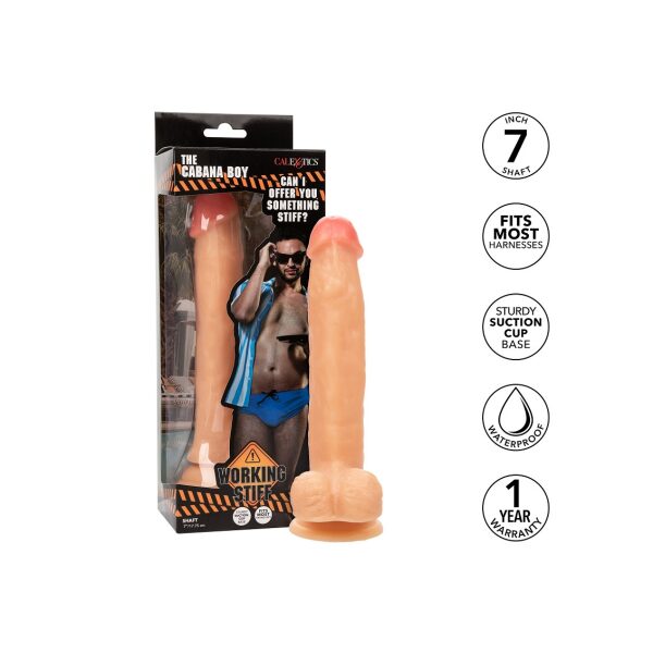 CalExotics Working Stiff The Cabana Boy, Suction Cup Realistic Dildo